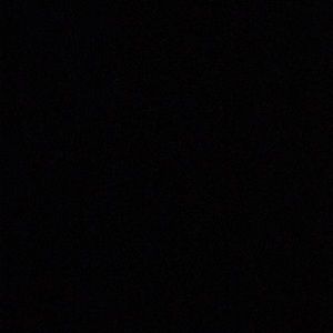 Meet your Posher, Camryn